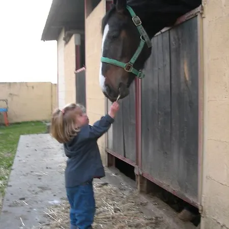 Rural Yeguada Albeitar Ξενοδοχείο