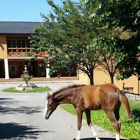 Ξενοδοχείο Rural Yeguada Albeitar