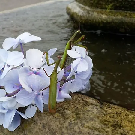 Ξενοδοχείο Rural Yeguada Albeitar 2*