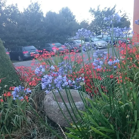 Rural Yeguada Albeitar Ξενοδοχείο