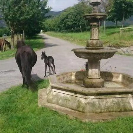 Rural Yeguada Albeitar Ξενοδοχείο 2*
