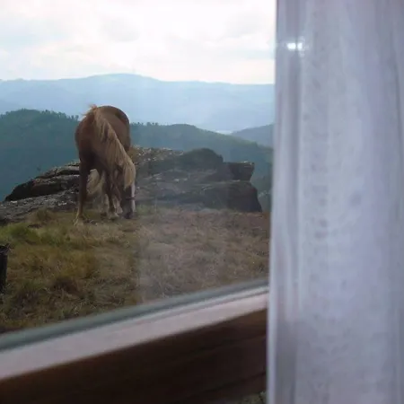 Rural Yeguada Albeitar Villayón