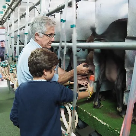 Ξενοδοχείο Rural Yeguada Albeitar 2*