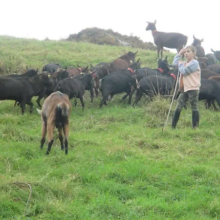 Ξενοδοχείο Rural Yeguada Albeitar Villayón