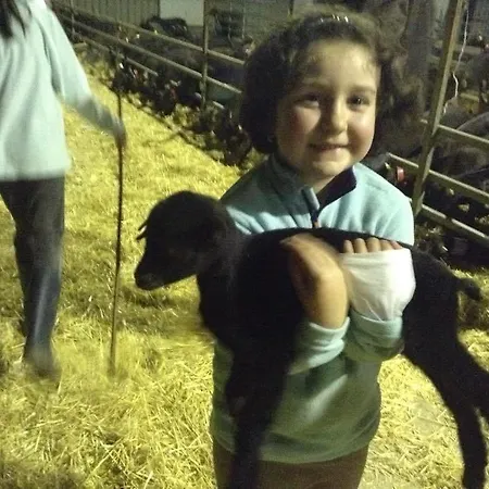 Ξενοδοχείο Rural Yeguada Albeitar