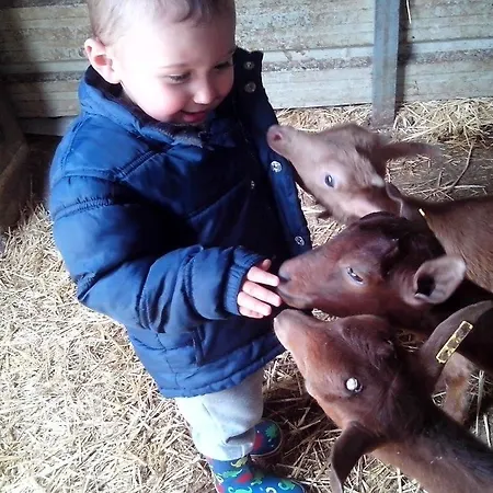 Rural Yeguada Albeitar Ξενοδοχείο