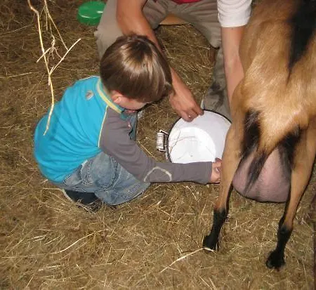 Rural Yeguada Albeitar 2* Villayón