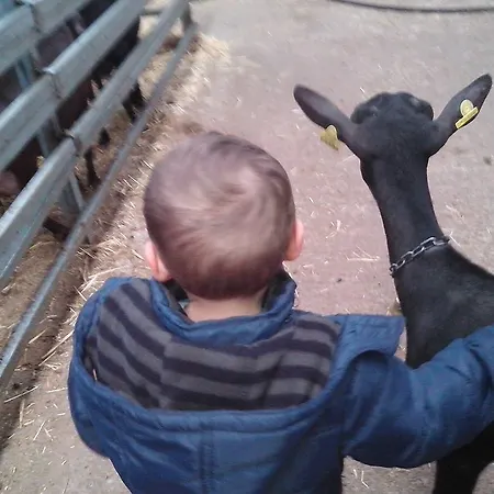 Rural Yeguada Albeitar Ξενοδοχείο