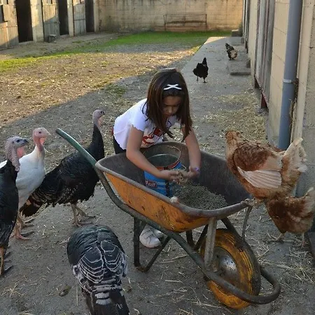 Rural Yeguada Albeitar 2*