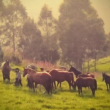 Rural Yeguada Albeitar Ξενοδοχείο