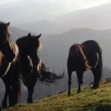 Ξενοδοχείο Rural Yeguada Albeitar