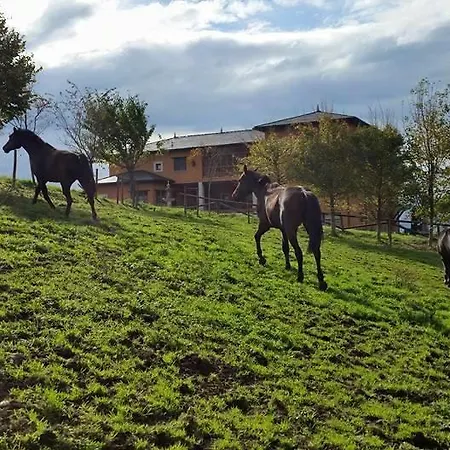 Rural Yeguada Albeitar Villayón