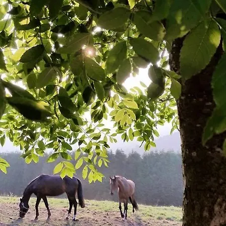 Rural Yeguada Albeitar Ξενοδοχείο