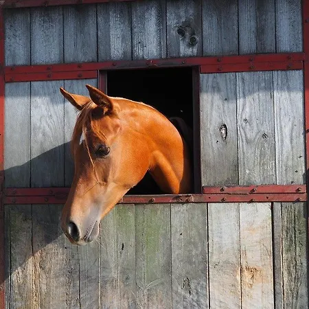 Rural Yeguada Albeitar 2*