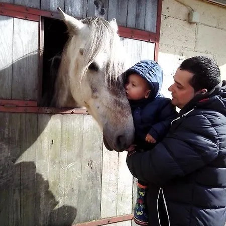 Ξενοδοχείο Rural Yeguada Albeitar