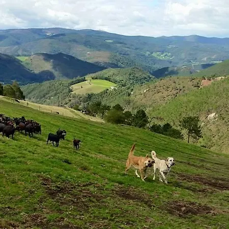 Hotel Rural Yeguada Albeitar 2*