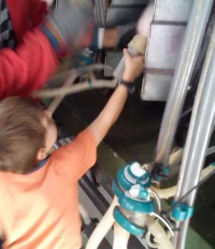 Hotel Rural Yeguada Albeitar