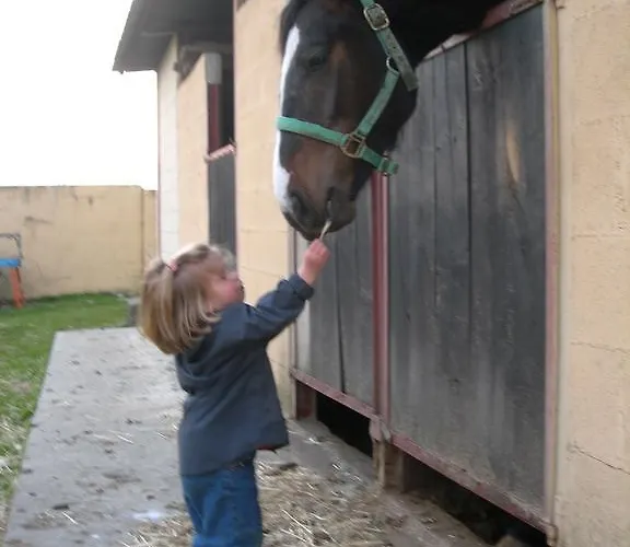 Rural Yeguada Albeitar Hotel