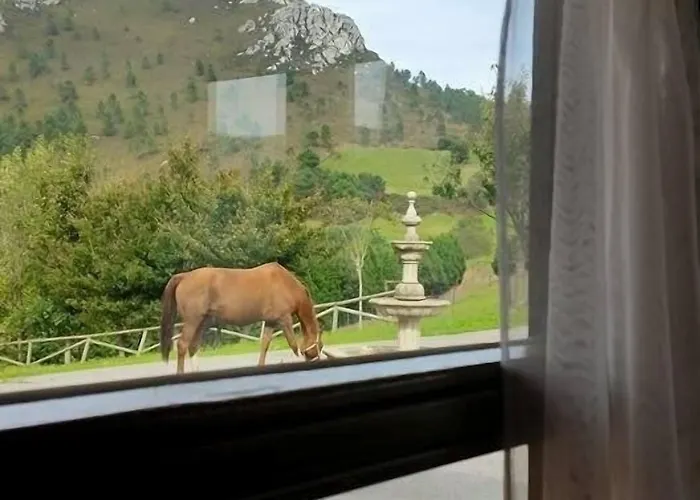 Rural Yeguada Albeitar 2*