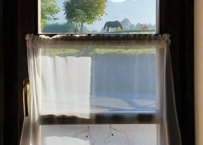 Rural Yeguada Albeitar Villayón