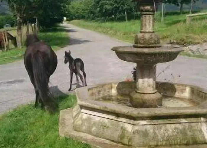 Rural Yeguada Albeitar Hotel 2*