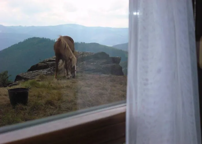 Rural Yeguada Albeitar Villayón