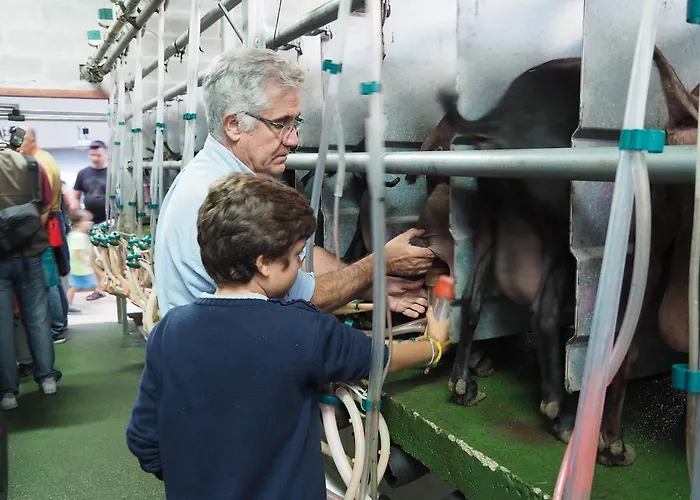 Hotel Rural Yeguada Albeitar 2*