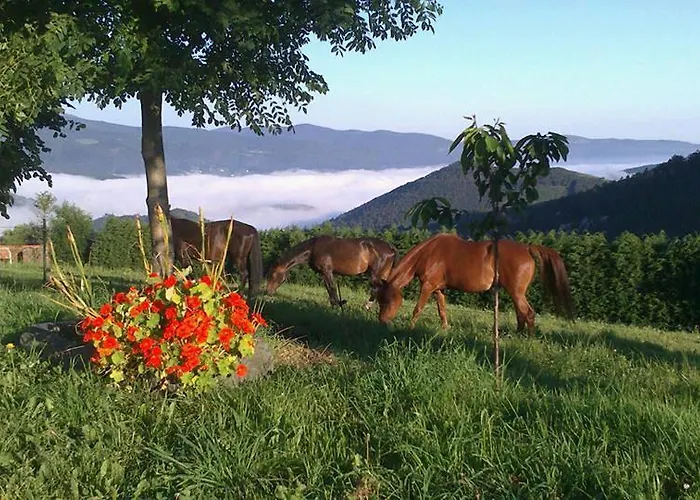 Hotel Rural Yeguada Albeitar