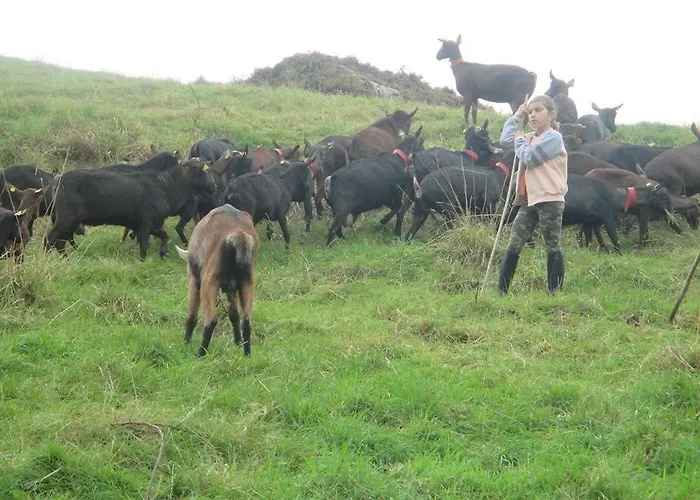 Hotel Rural Yeguada Albeitar Villayón