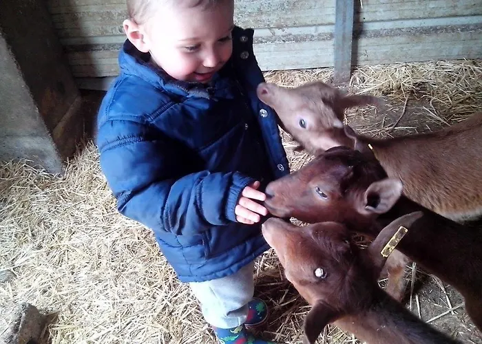 Rural Yeguada Albeitar Hotel