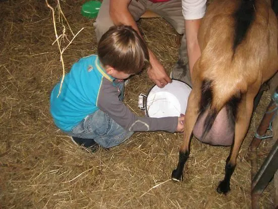 Rural Yeguada Albeitar 2* Villayón