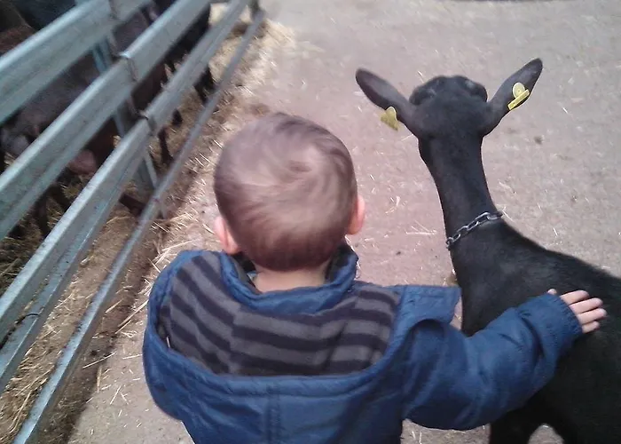 Rural Yeguada Albeitar Hotel