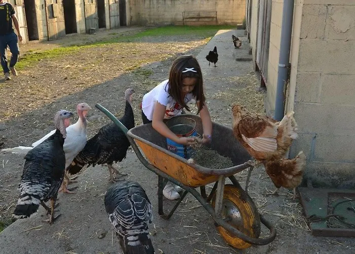 Rural Yeguada Albeitar 2*