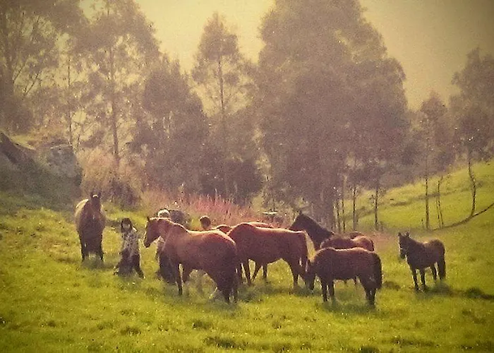 Rural Yeguada Albeitar Hotel