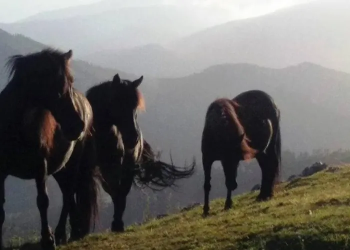 Hotel Rural Yeguada Albeitar