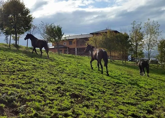 Rural Yeguada Albeitar Villayón
