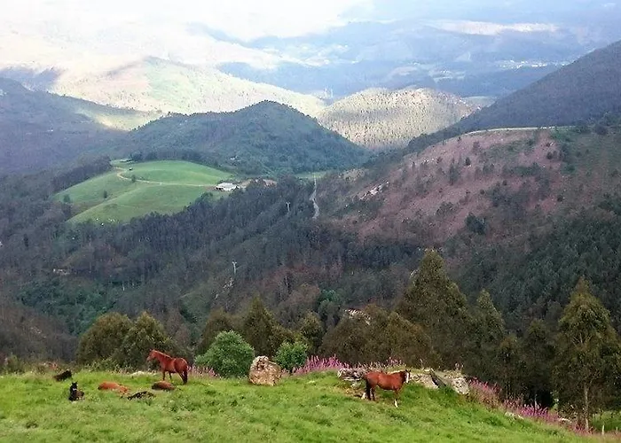 Hotel Rural Yeguada Albeitar