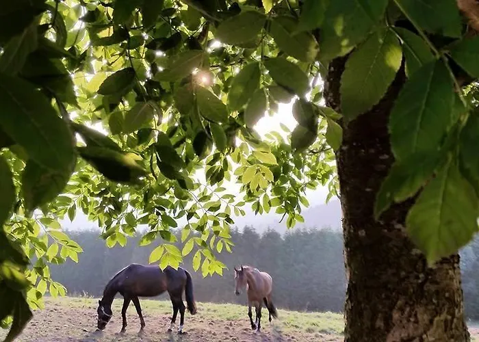 Rural Yeguada Albeitar Hotel