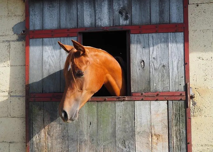 Rural Yeguada Albeitar 2*