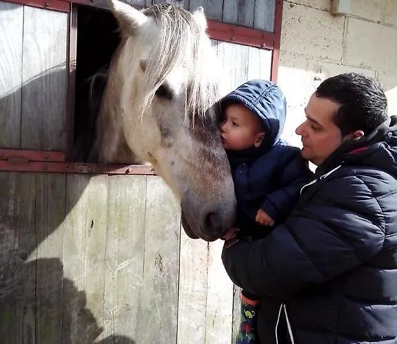 Hotel Rural Yeguada Albeitar