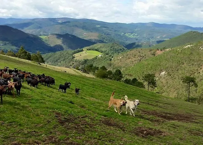 Hotel Rural Yeguada Albeitar 2*