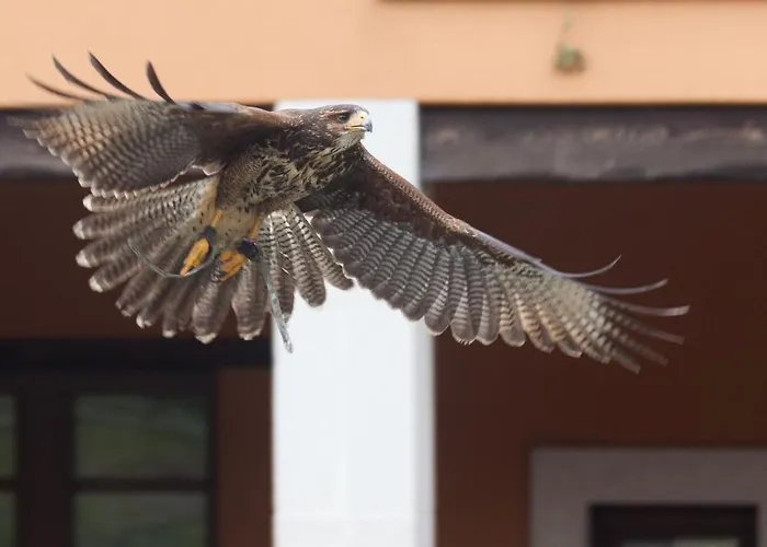 Rural Yeguada Albeitar